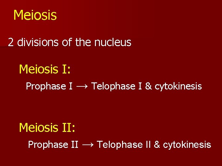 Meiosis 2 divisions of the nucleus Meiosis I: Prophase I → Telophase I &
