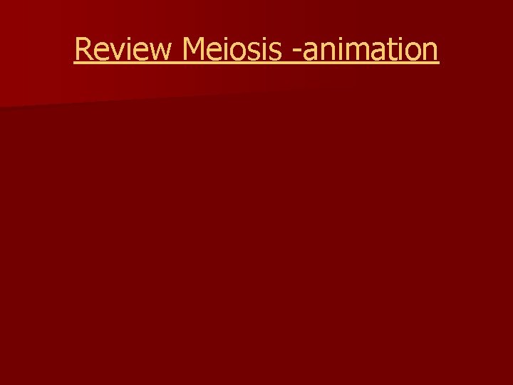 Review Meiosis -animation 