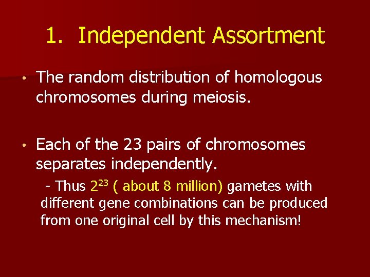 1. Independent Assortment • The random distribution of homologous chromosomes during meiosis. • Each