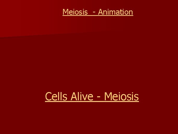 Meiosis - Animation Cells Alive - Meiosis 