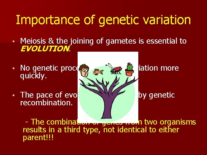 Importance of genetic variation • Meiosis & the joining of gametes is essential to