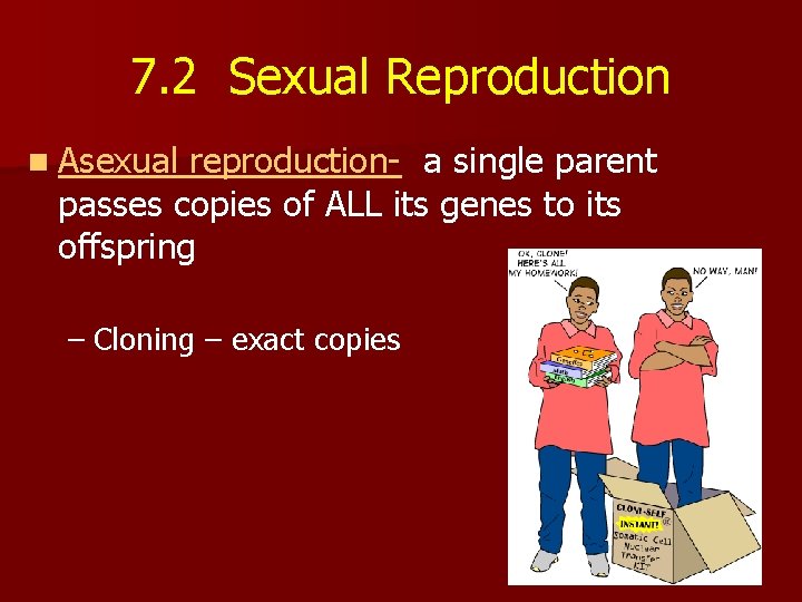 7. 2 Sexual Reproduction n Asexual reproduction- a single parent passes copies of ALL