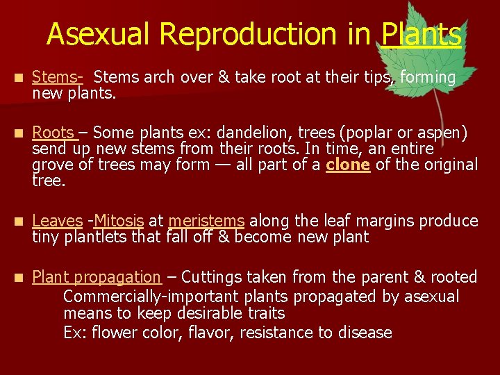 Asexual Reproduction in Plants n Stems- Stems arch over & take root at their