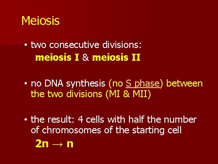 Meiosis • two consecutive divisions: meiosis I & meiosis II • no DNA synthesis