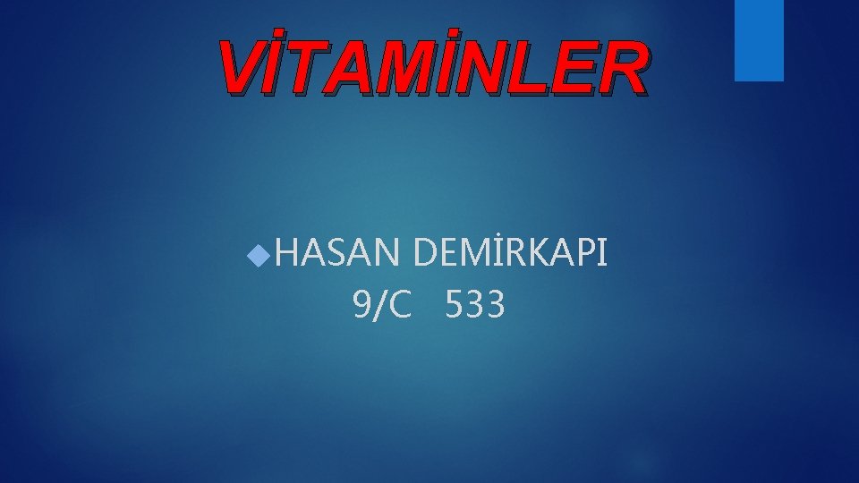 VİTAMİNLER HASAN DEMİRKAPI 9/C 533 