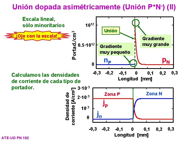 Unión dopada asimétricamente (Unión P+N-) (II) Escala lineal, sólo minoritarios Portad. /cm 3 ¡Ojo