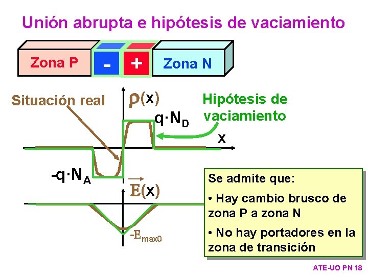 Unión abrupta e hipótesis de vaciamiento Zona P - + Situación real Zona N