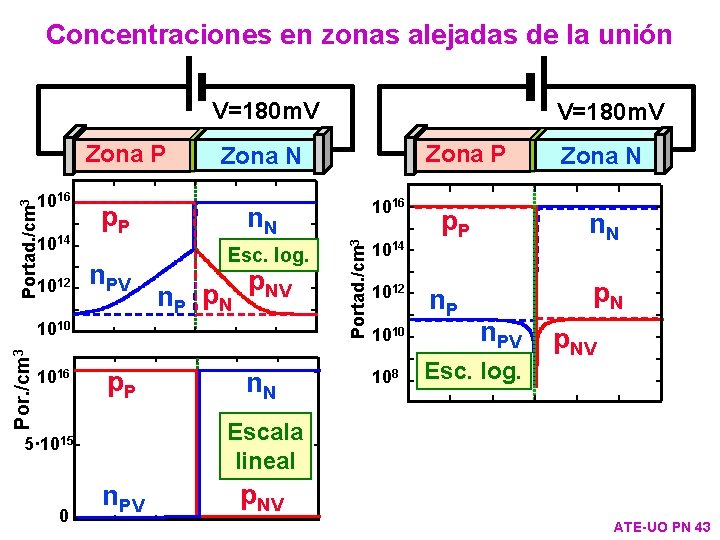 Concentraciones en zonas alejadas de la unión V=180 m. V Zona P 1014 1012