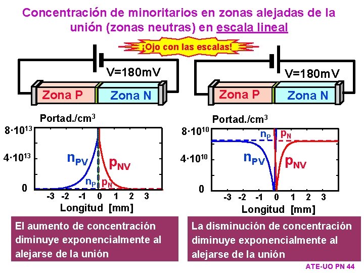 Concentración de minoritarios en zonas alejadas de la unión (zonas neutras) en escala lineal