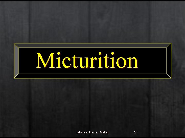 Micturition (Mohand Hassan Malla) 2 