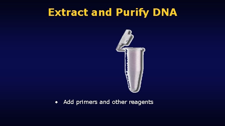 Extract and Purify DNA • Add primers and other reagents 