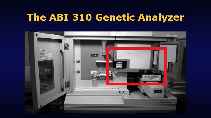 The ABI 310 Genetic Analyzer 