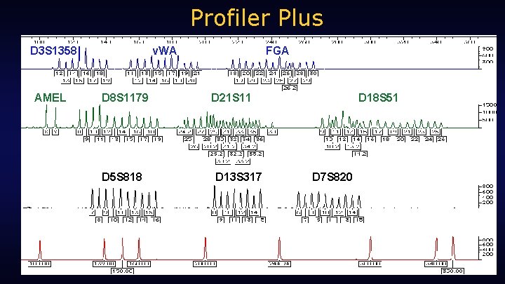 Profiler Plus D 3 S 1358 AMEL v. WA D 8 S 1179 D