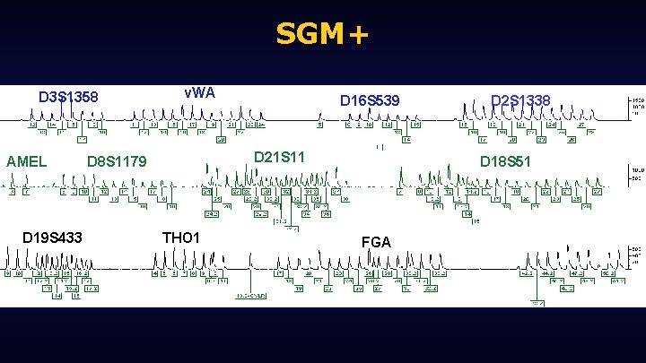 SGM+ D 3 S 1358 AMEL D 19 S 433 v. WA D 16