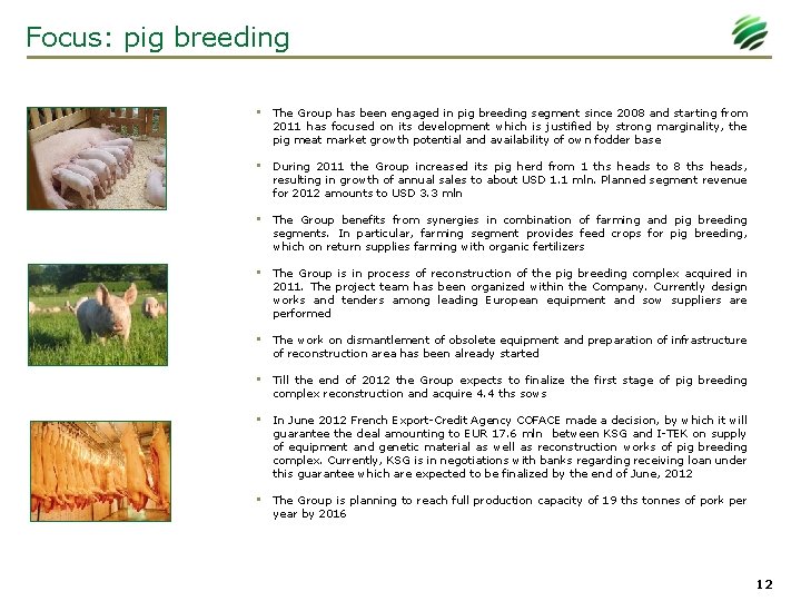 Focus: pig breeding • The Group has been engaged in pig breeding segment since