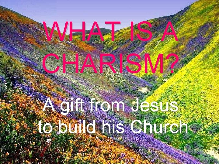 WHAT IS A CHARISM? A gift from Jesus to build his Church 