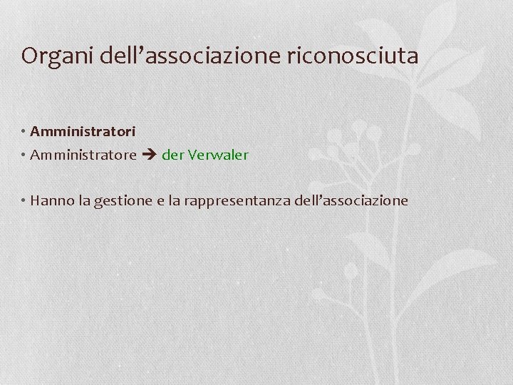 Organi dell’associazione riconosciuta • Amministratori • Amministratore der Verwaler • Hanno la gestione e