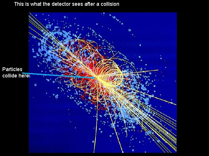 This is what the detector sees after a collision Particles collide here 