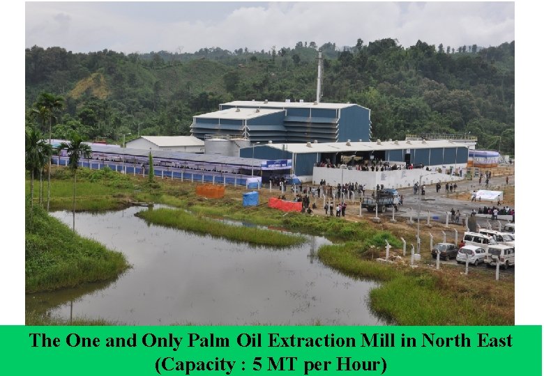 The One and Only Palm Oil Extraction Mill in North East (Capacity : 5