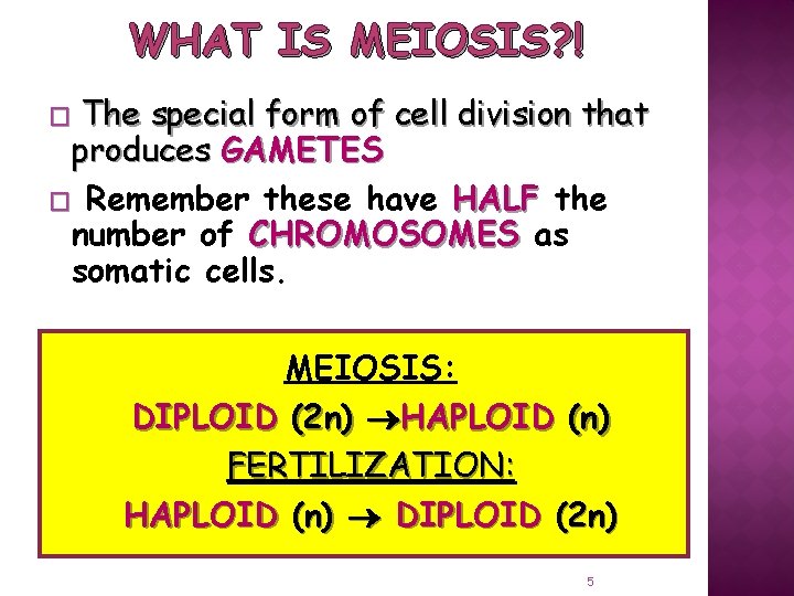 WHAT IS MEIOSIS? ! The special form of cell division that produces GAMETES �