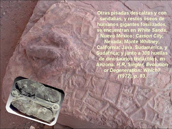 Otras pisadas descalzas y con sandalias, y restos óseos de humanos gigantes fosilizados, se