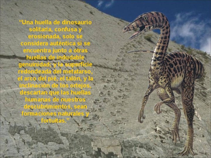 “Una huella de dinosaurio solitaria, confusa y erosionada, solo se considera auténtica si se