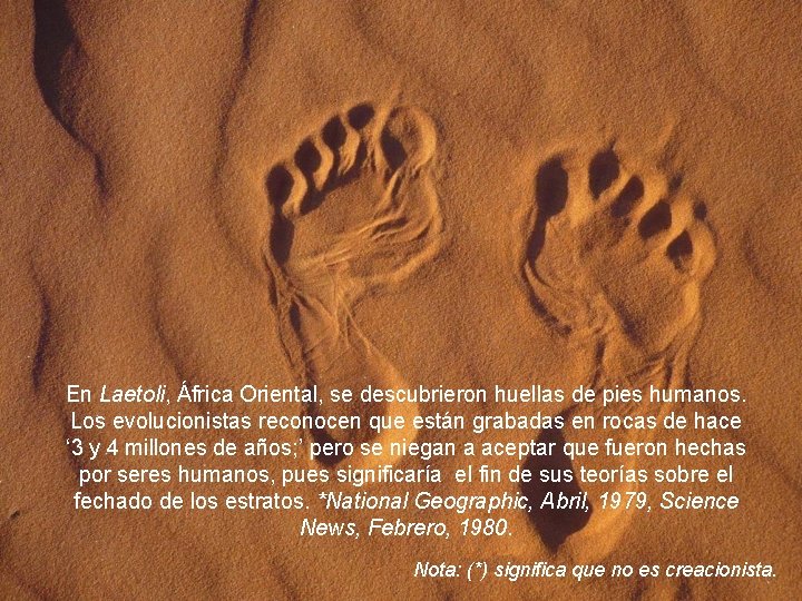 En Laetoli, África Oriental, se descubrieron huellas de pies humanos. Los evolucionistas reconocen que