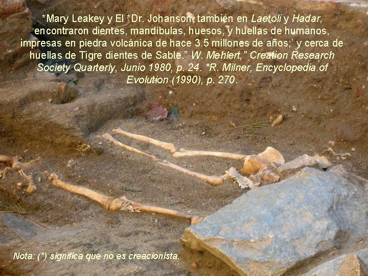 *Mary Leakey y El *Dr. Johanson, también en Laetoli y Hadar, encontraron dientes, mandíbulas,