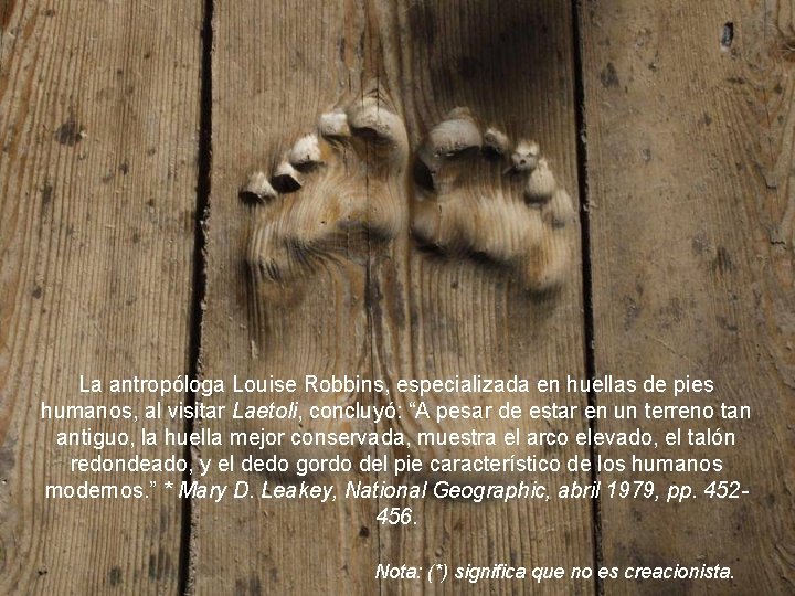 La antropóloga Louise Robbins, especializada en huellas de pies humanos, al visitar Laetoli, concluyó: