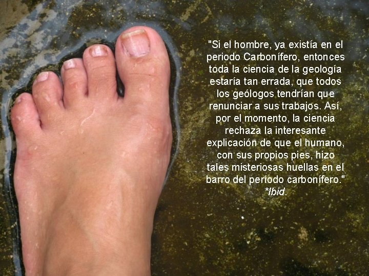 "Si el hombre, ya existía en el periodo Carbonífero, entonces toda la ciencia de