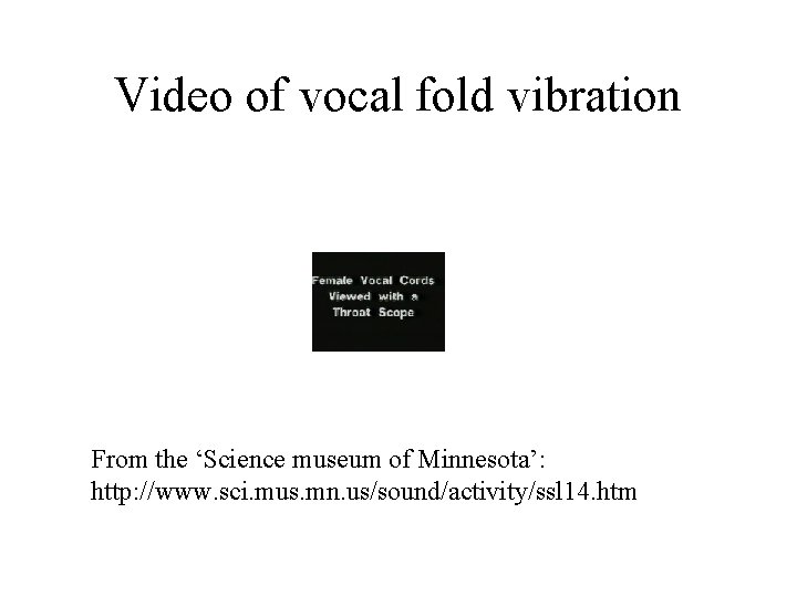 Video of vocal fold vibration From the ‘Science museum of Minnesota’: http: //www. sci.