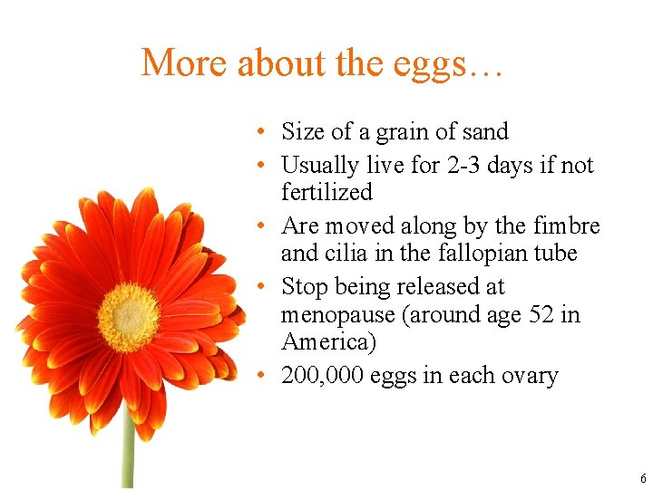 More about the eggs… • Size of a grain of sand • Usually live