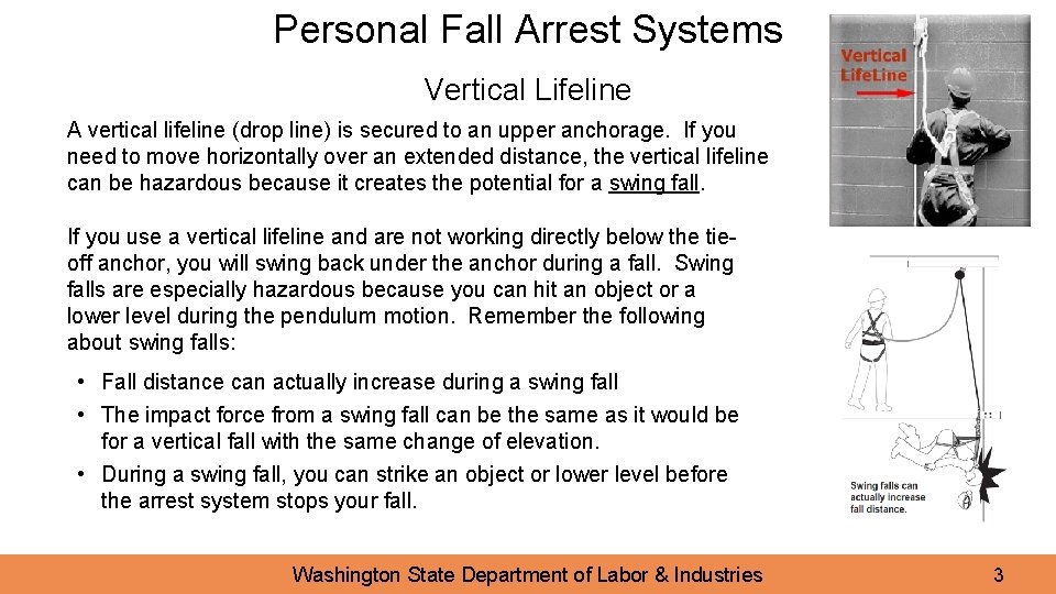 Personal Fall Arrest Systems Vertical Lifeline A vertical lifeline (drop line) is secured to