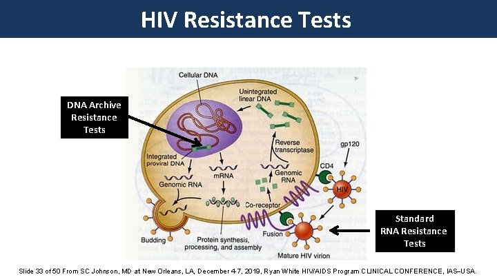 HIV Resistance Tests DNA Archive Resistance Tests Standard RNA Resistance Tests Slide 33 of