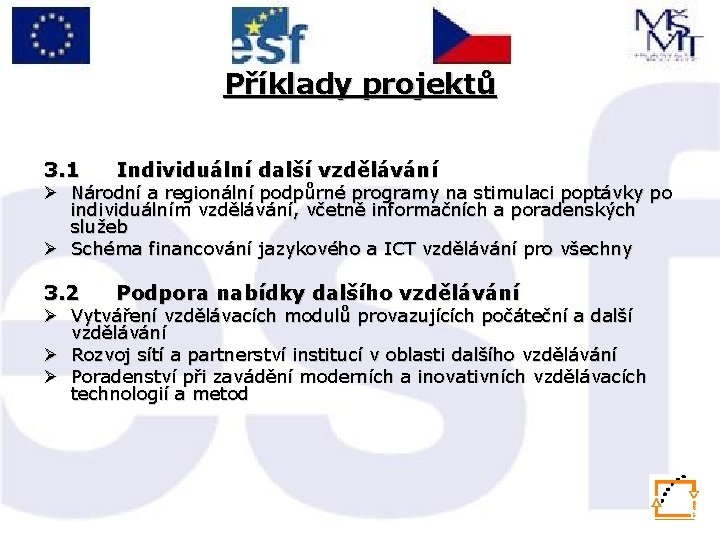 Příklady projektů 3. 1 Individuální další vzdělávání 3. 2 Podpora nabídky dalšího vzdělávání Ø