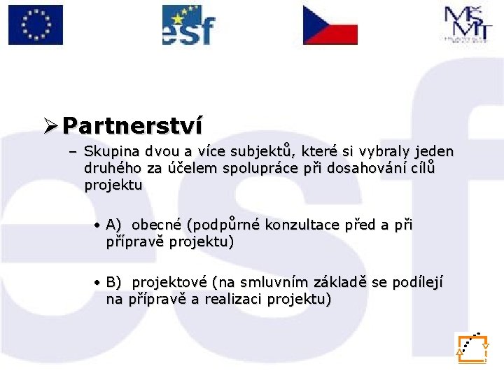 Ø Partnerství – Skupina dvou a více subjektů, které si vybraly jeden druhého za