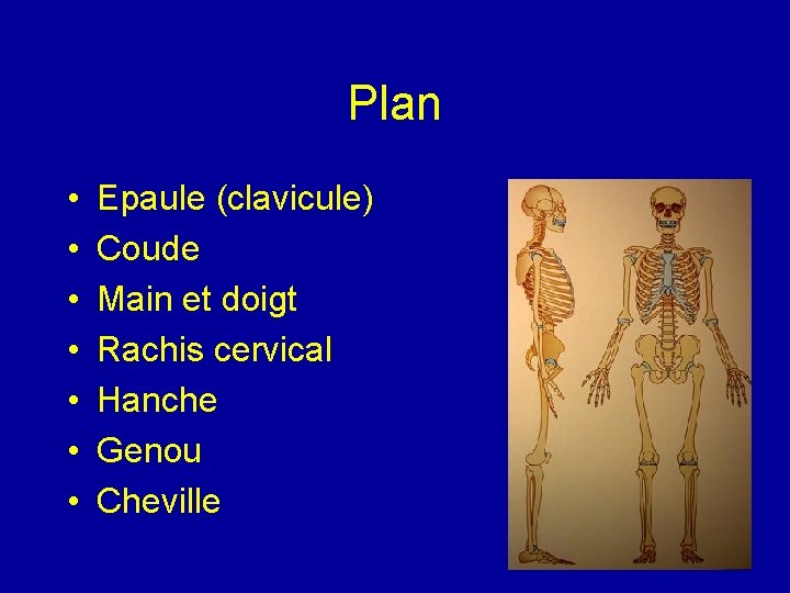 Plan • • Epaule (clavicule) Coude Main et doigt Rachis cervical Hanche Genou Cheville