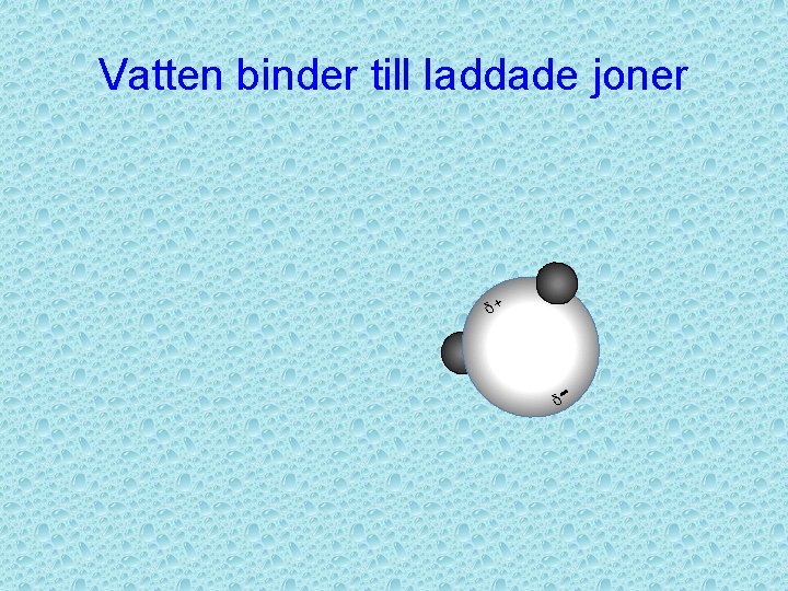 Vatten binder till laddade joner δ+ δ - 