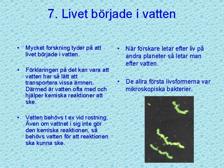 7. Livet började i vatten • Mycket forskning tyder på att livet började i