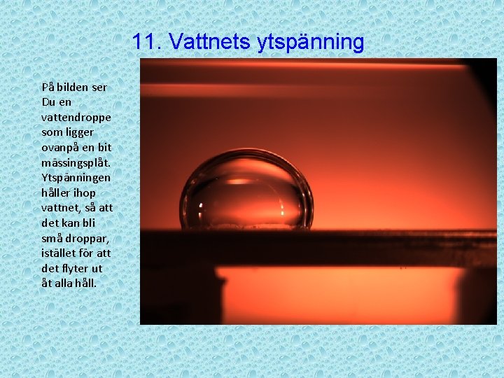 11. Vattnets ytspänning På bilden ser Du en vattendroppe som ligger ovanpå en bit