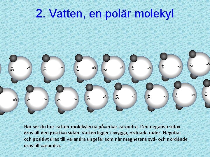 Här ser du hur vatten-molekylerna påverkar varandra. Den negativa sidan dras till den positiva