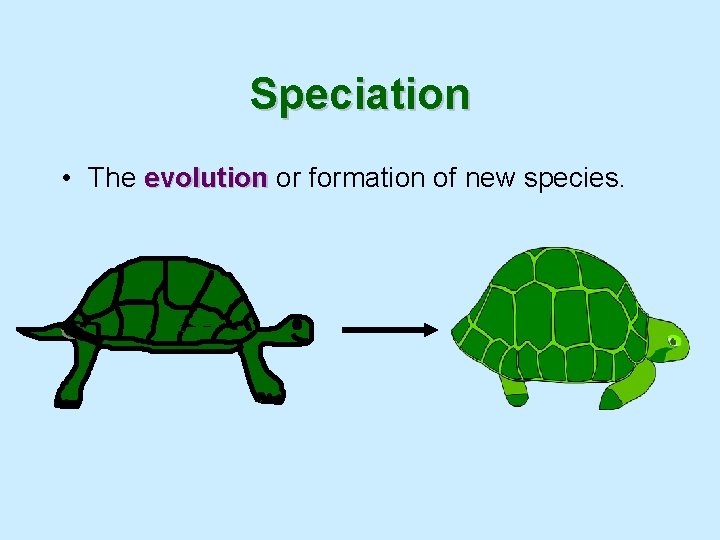 Speciation • The evolution or formation of new species. 