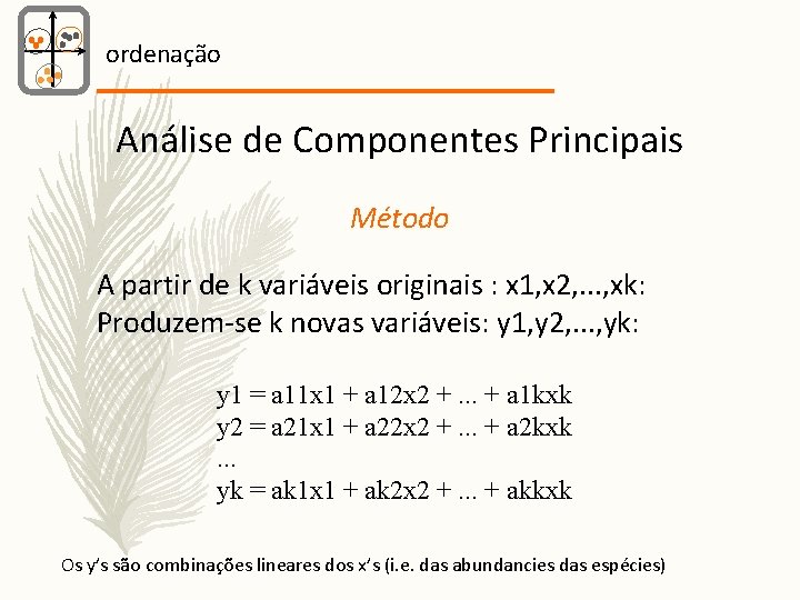 ordenação Análise de Componentes Principais Método A partir de k variáveis originais : x