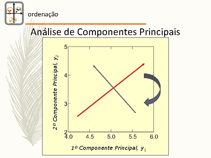 ordenação 2º Componente Principal, y 2 Análise de Componentes Principais 1º Componente Principal, y