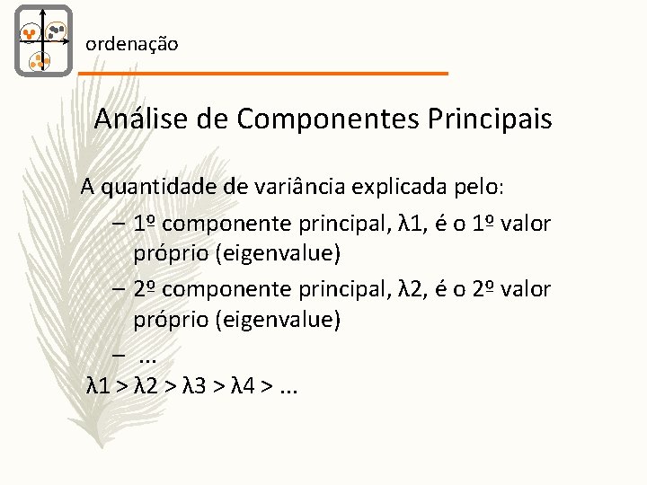 ordenação Análise de Componentes Principais A quantidade de variância explicada pelo: – 1º componente