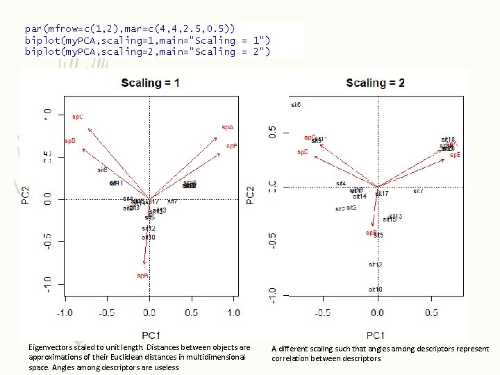 par(mfrow=c(1, 2), mar=c(4, 4, 2. 5, 0. 5)) biplot(my. PCA, scaling=1, main="Scaling = 1")