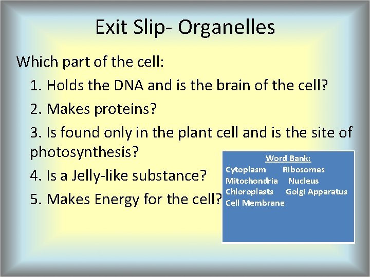 Exit Slip- Organelles Which part of the cell: 1. Holds the DNA and is