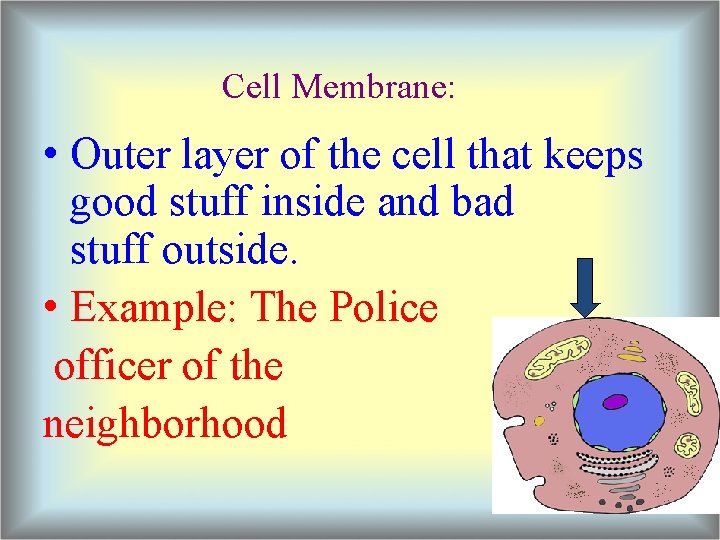 Cell Membrane: • Outer layer of the cell that keeps good stuff inside and