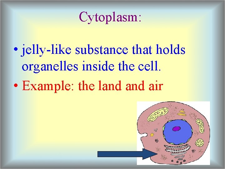 Cytoplasm: • jelly-like substance that holds organelles inside the cell. • Example: the land