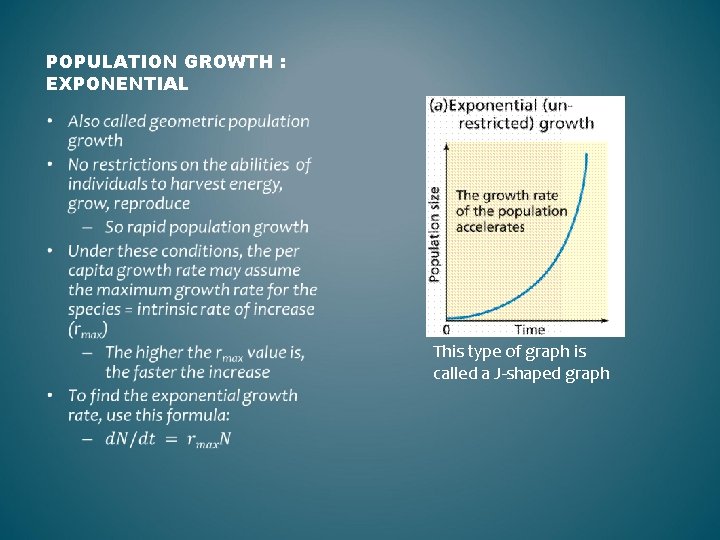 POPULATION GROWTH : EXPONENTIAL • This type of graph is called a J-shaped graph